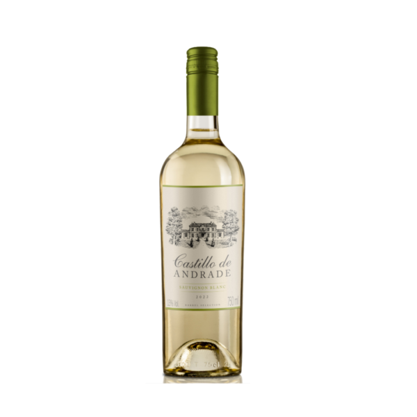 Castillo de Andrade Sauvignon Blanc